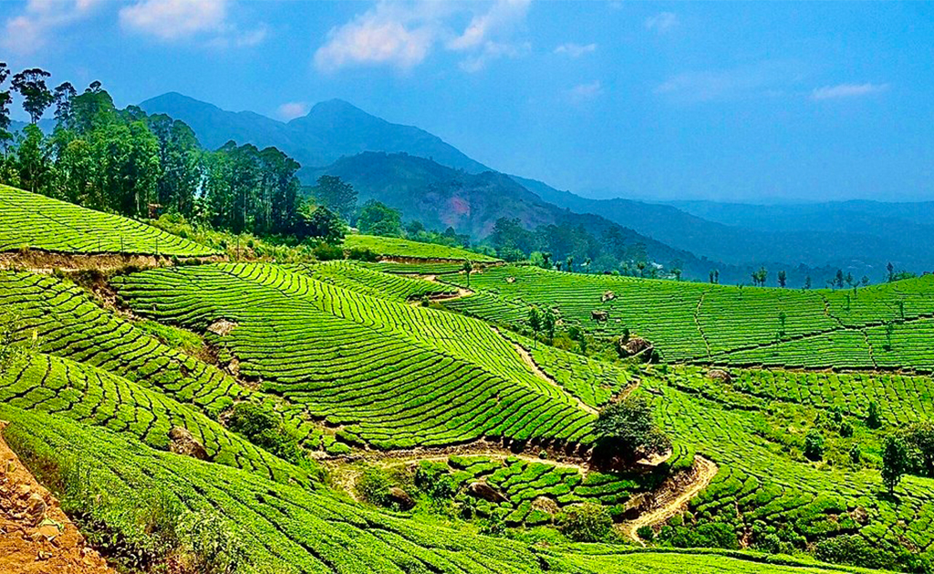 6D/5N Kerala Tour Package