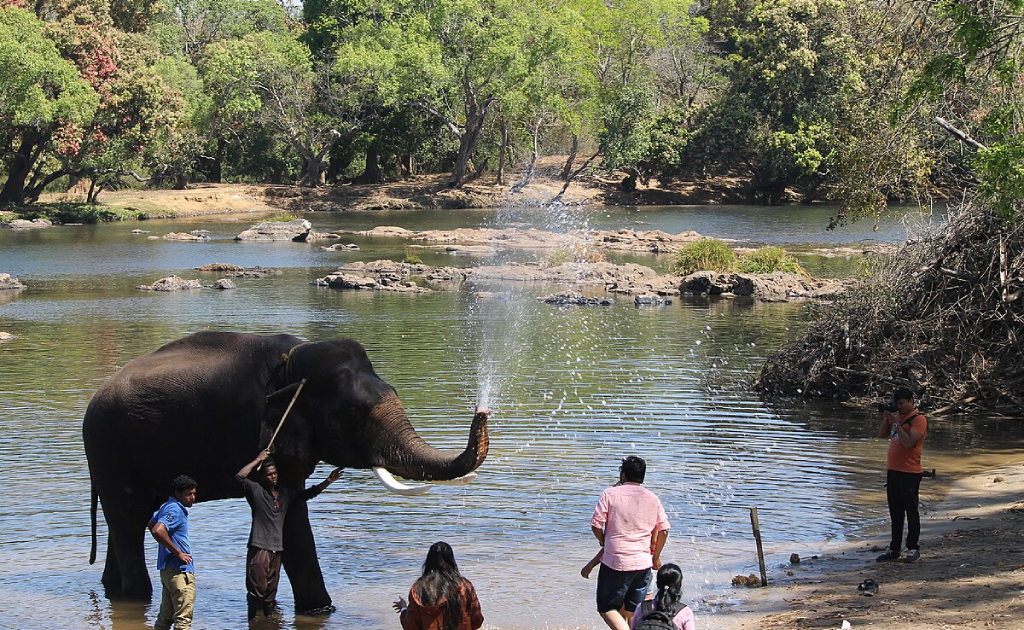 3D/2N Coorg Tour Package