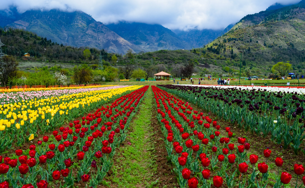 7D / 6N Kashmir Tour Package