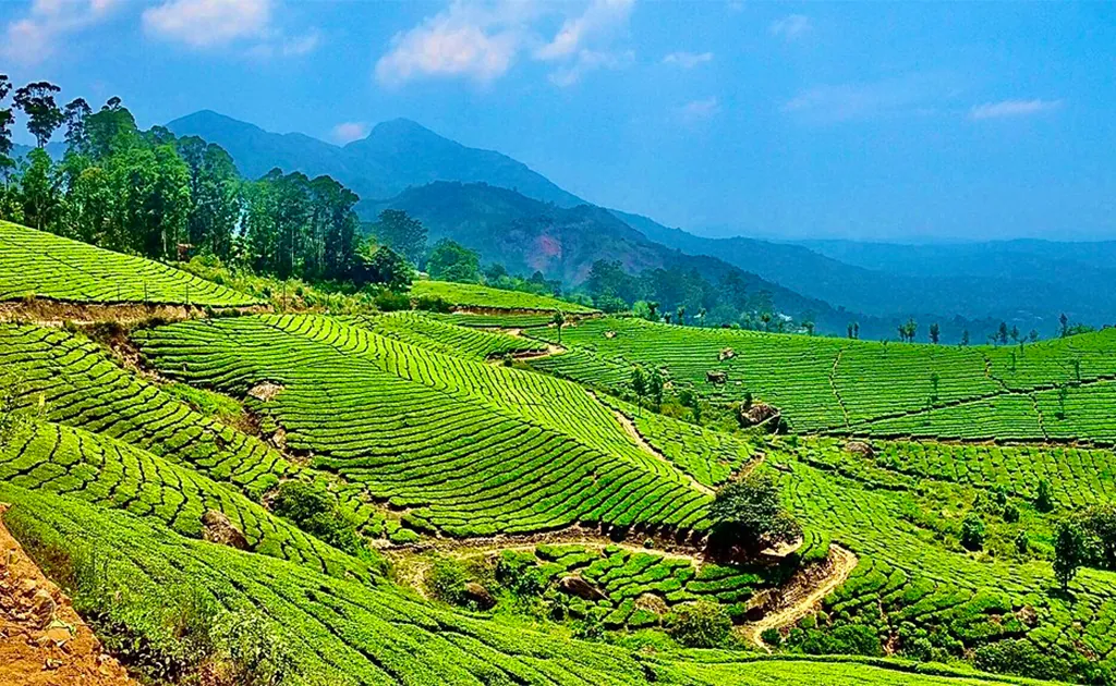 9D / 8N Kerala Tour Package