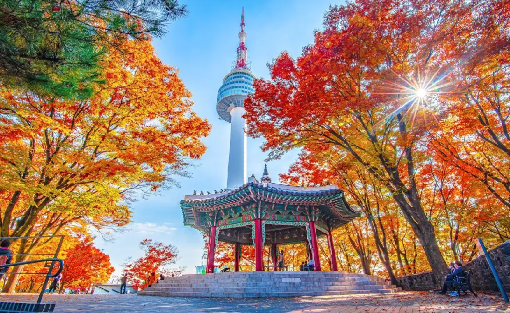 8D / 7N South Korea Tour Package