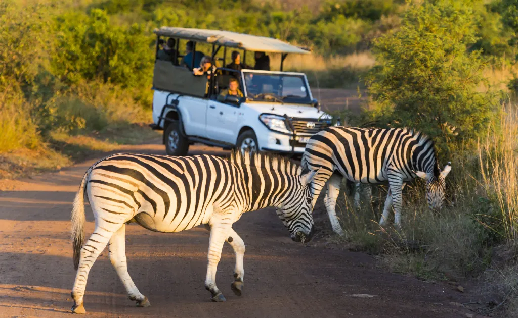 10D / 9N South Africa Tour Package