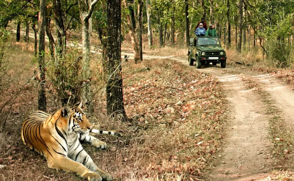 9D/8N Madhya Pradesh Tour Package